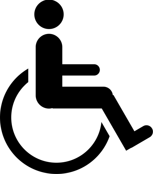 Disabled Icon